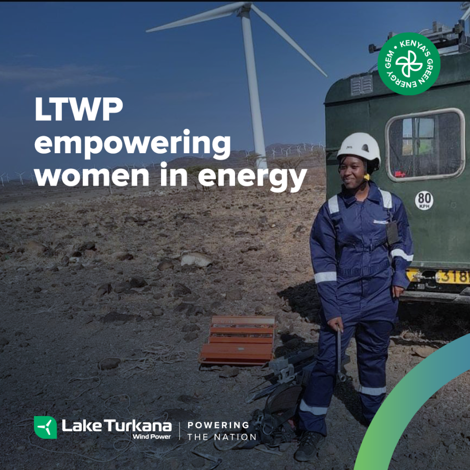 Employee spotlight Lake Turkana Wind Power (LTWP)